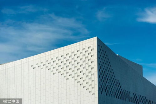 8萬元深圳3日游？網友調侃 努力一把，9萬元回家